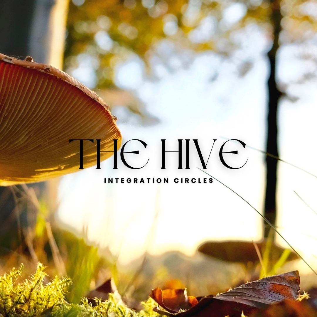 Hive Integration Circle- January 27 thumbnail