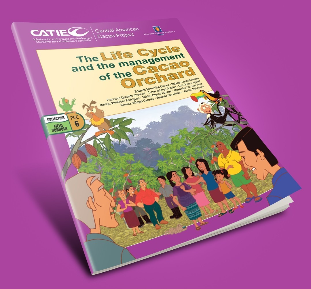 The Life Cycle and the Management of the Cacao Orchard - CATIE thumbnail