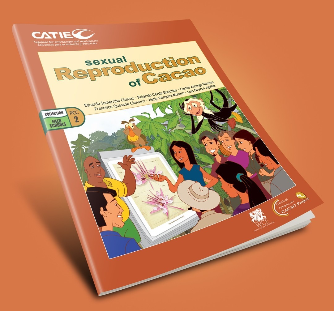 Sexual Reproduction of Cacao - CATIE thumbnail