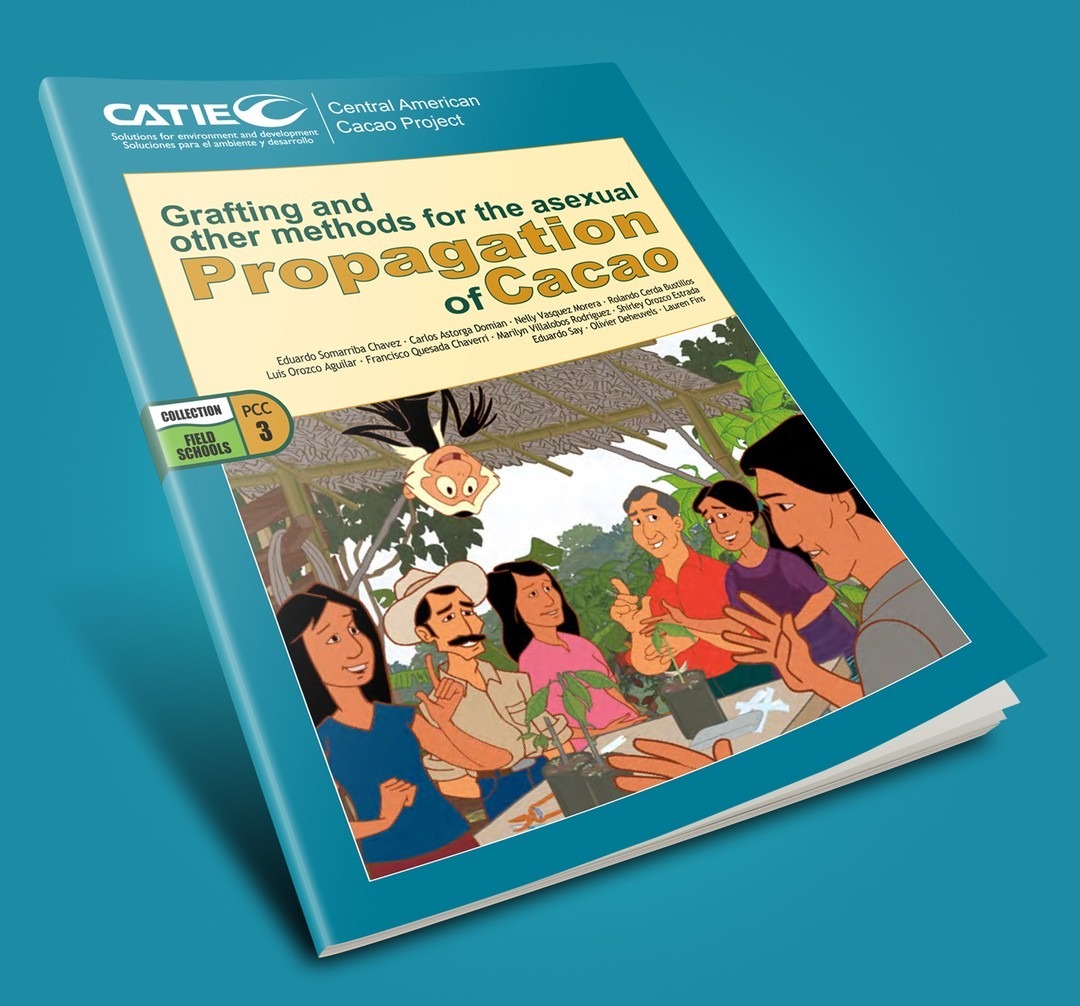 Propagation of Cacao - CATIE thumbnail