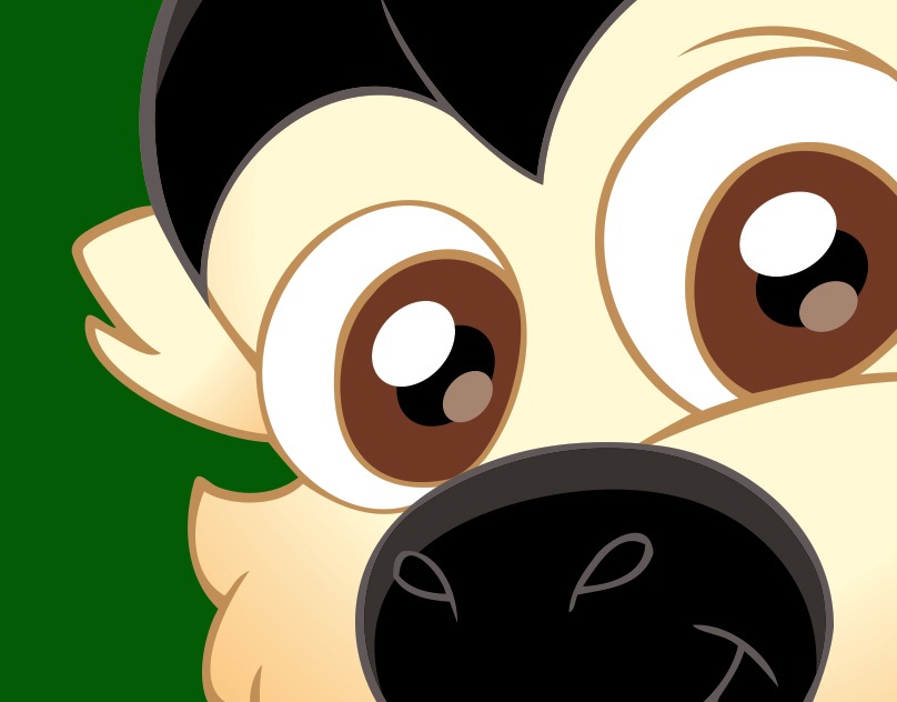 Save the Squirrel Monkey - Fundazoo thumbnail