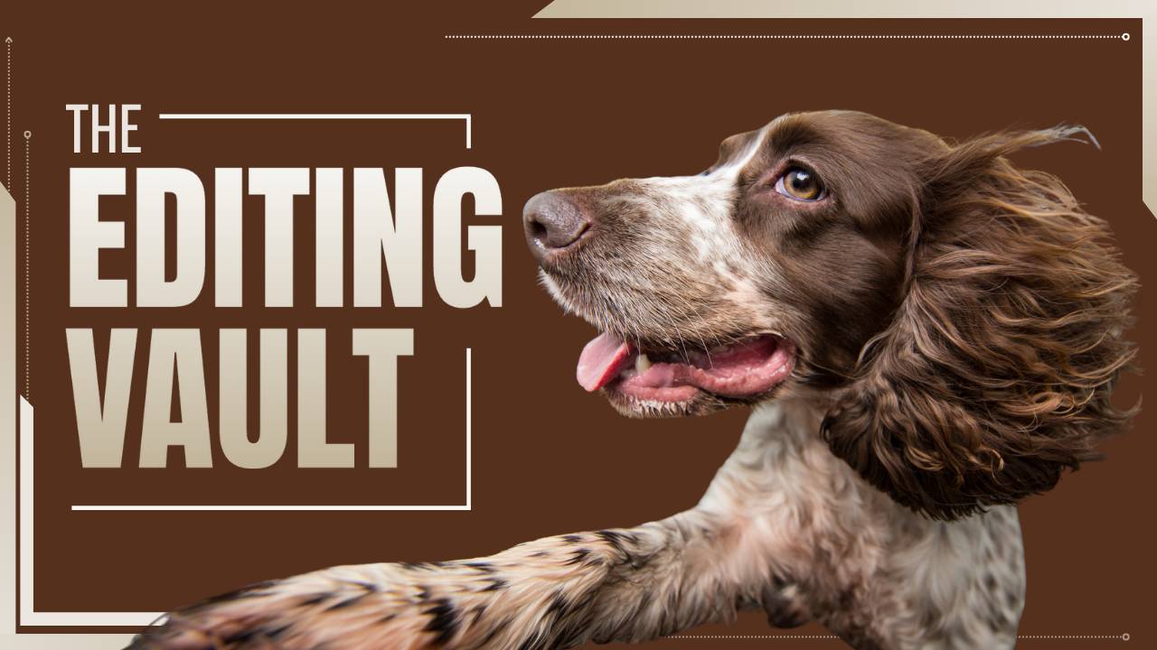 The Editing Vault thumbnail