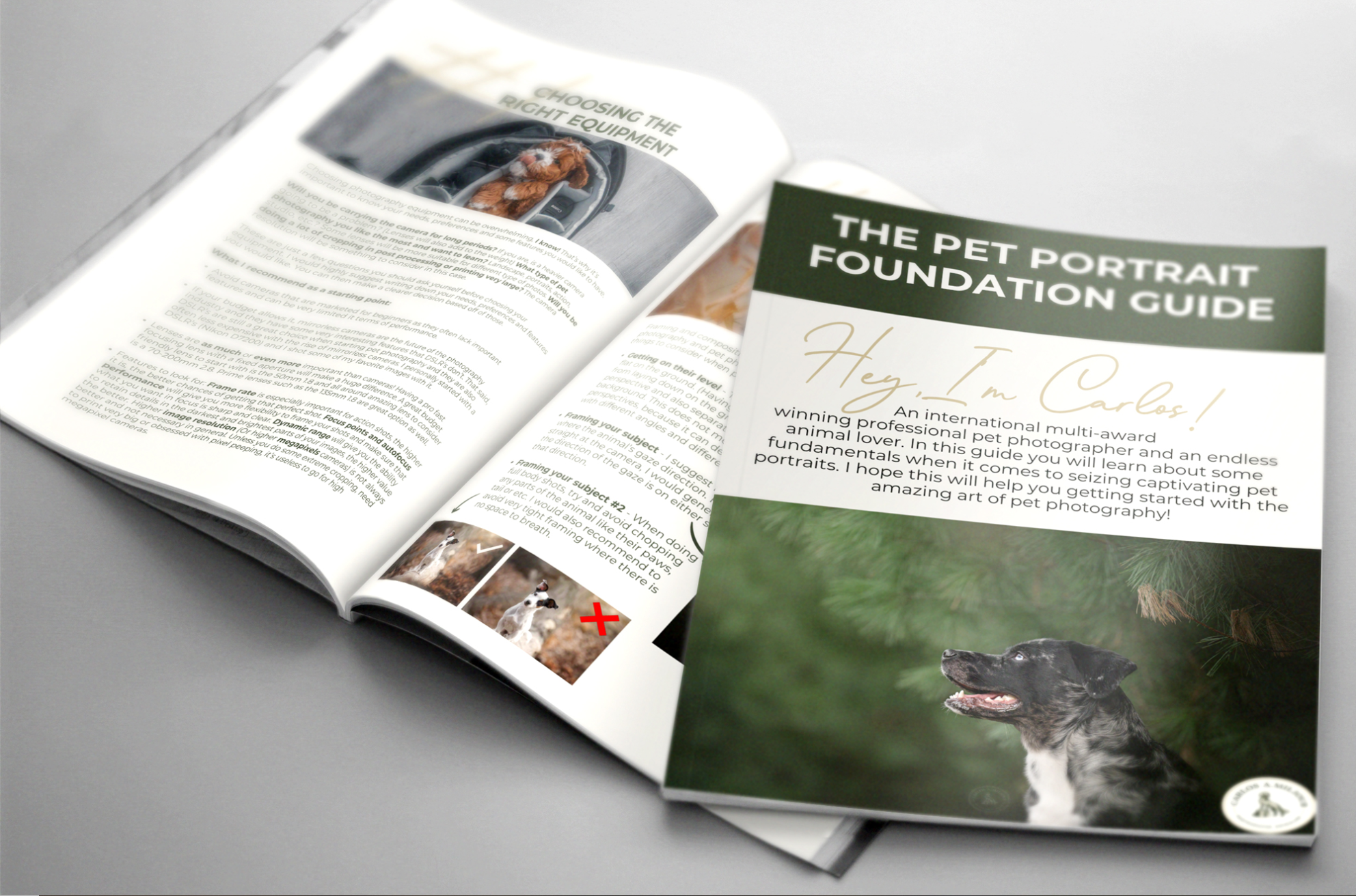 Grab my FREE Pet Portrait Foundation Guide thumbnail