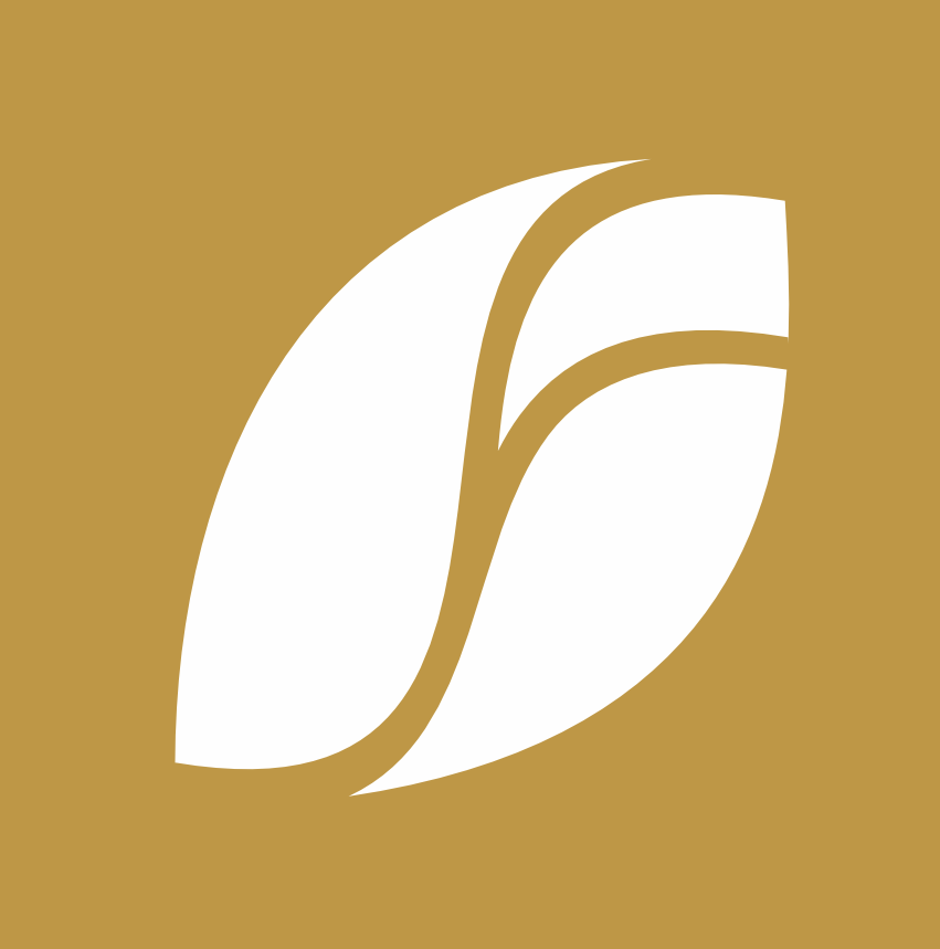 Loja das Graças thumbnail