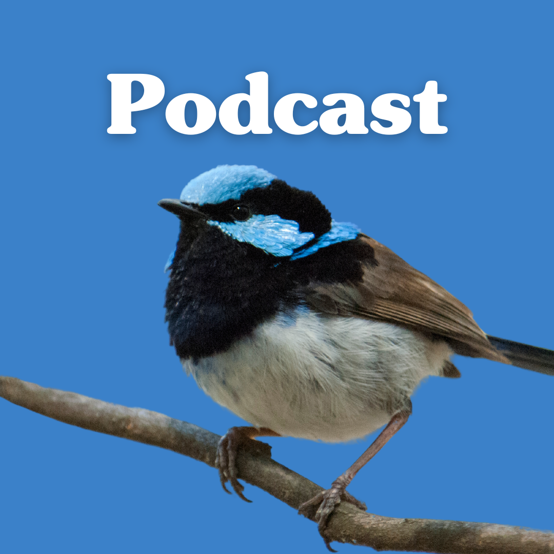 Podcast episodes thumbnail