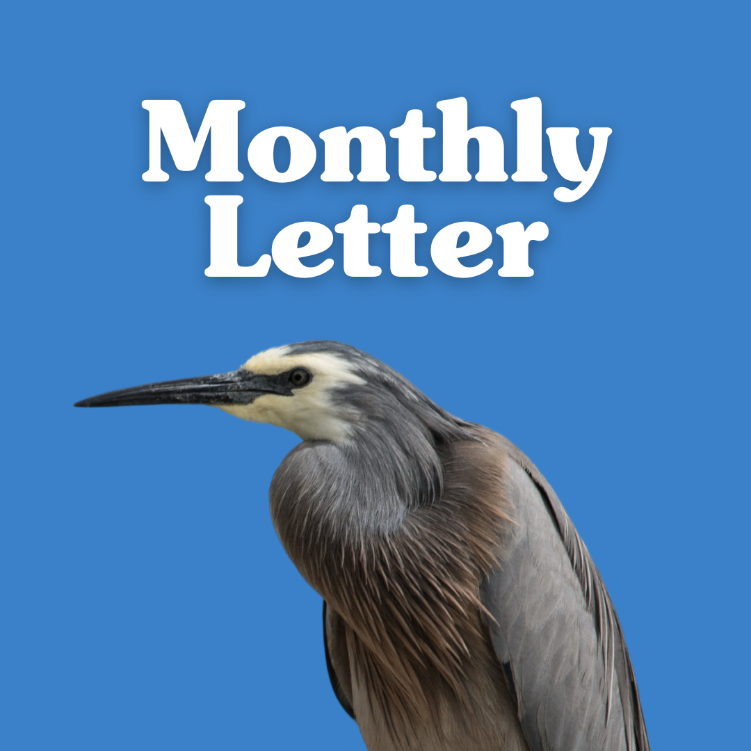 Monthly Letter & giveaways thumbnail