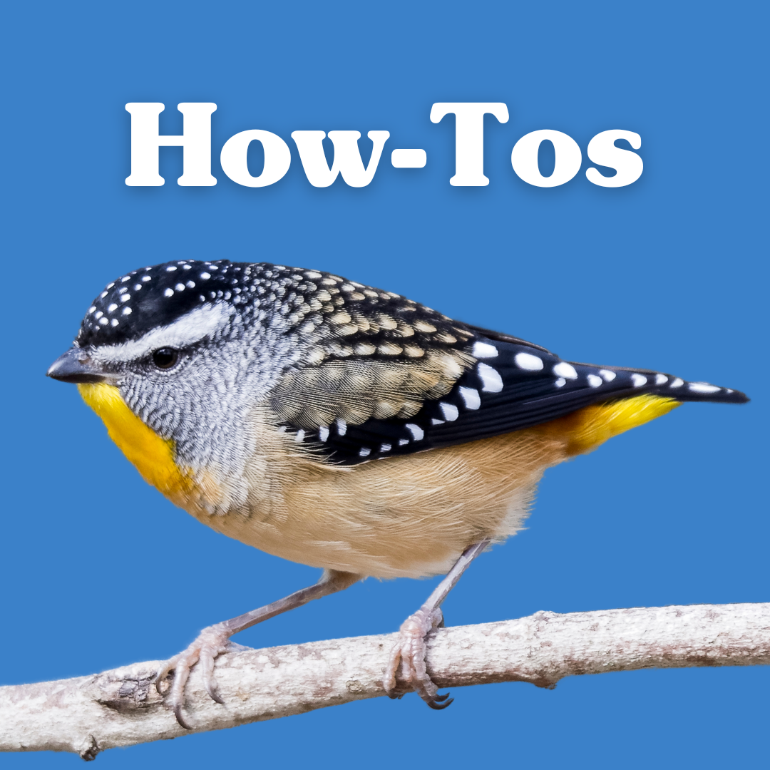 How-tos & where to go in Australia thumbnail
