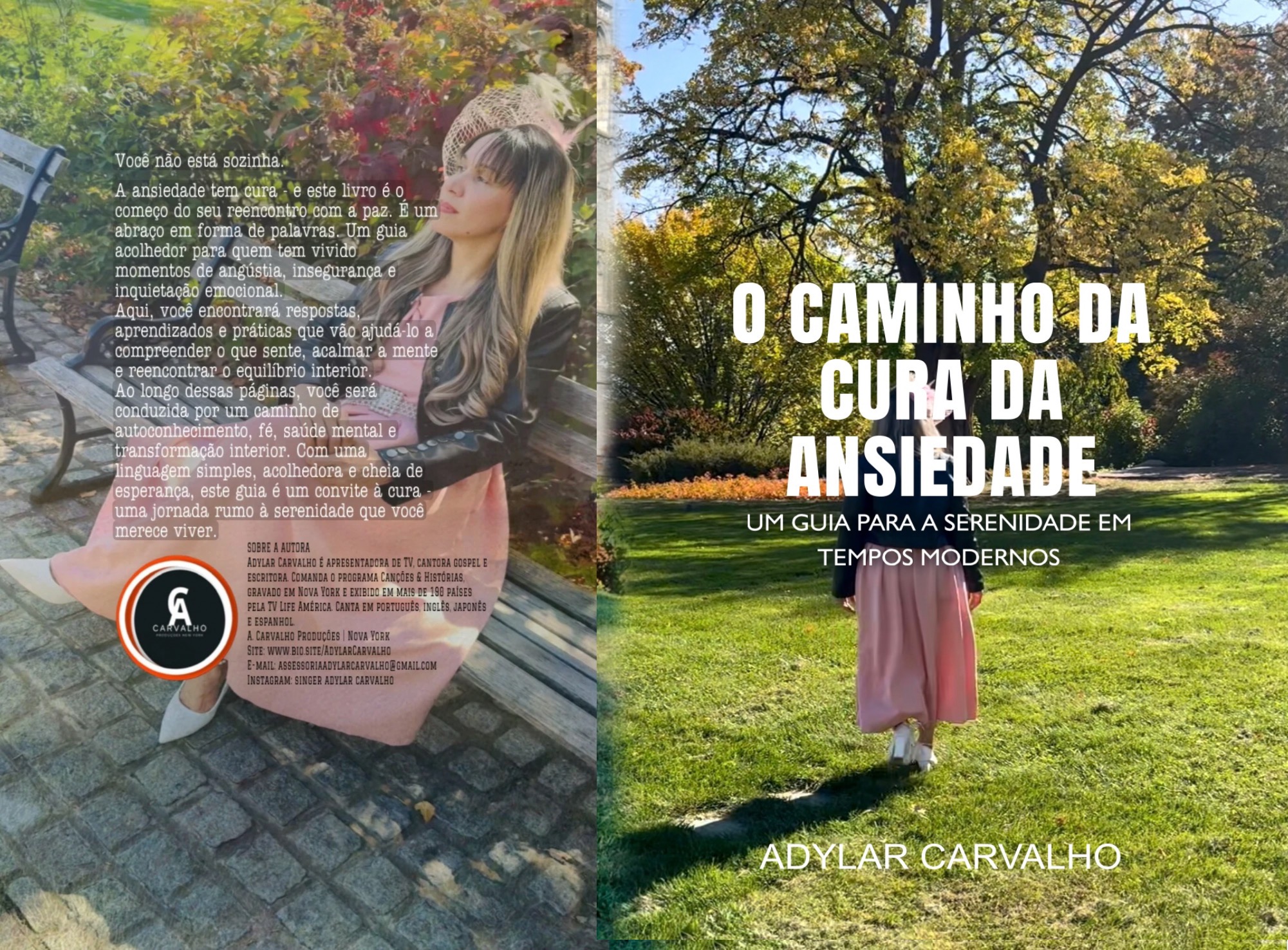 LIVRO : O CAMINHO DA CURA DA ANSIEDADE - Comprar na Amazon ( Não seja mais refem da ansiedade, esse livro te mostra o caminho da cura, te liberta, te tranquiliza. Você não será mais o mesmo ) thumbnail