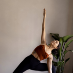 Yoga Basics Course 🙏🏼 thumbnail