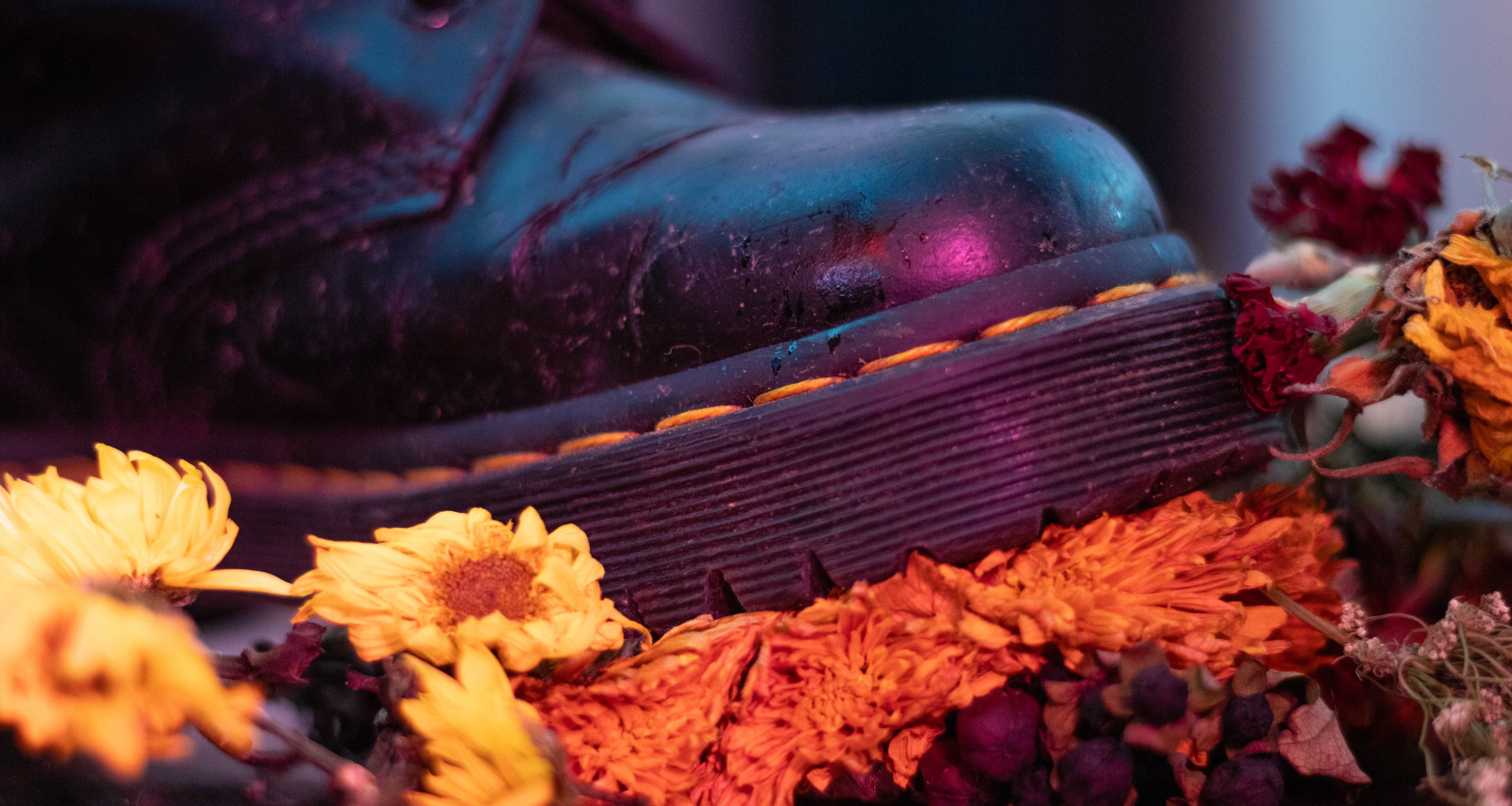 photography instagram thumbnail