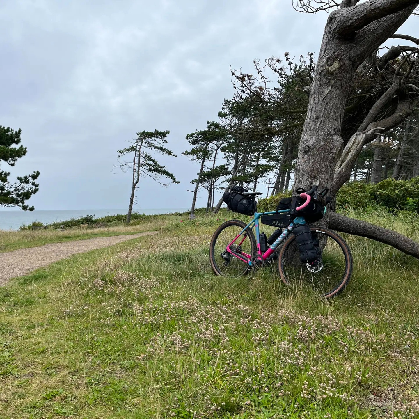 Denmark Coast Rush thumbnail