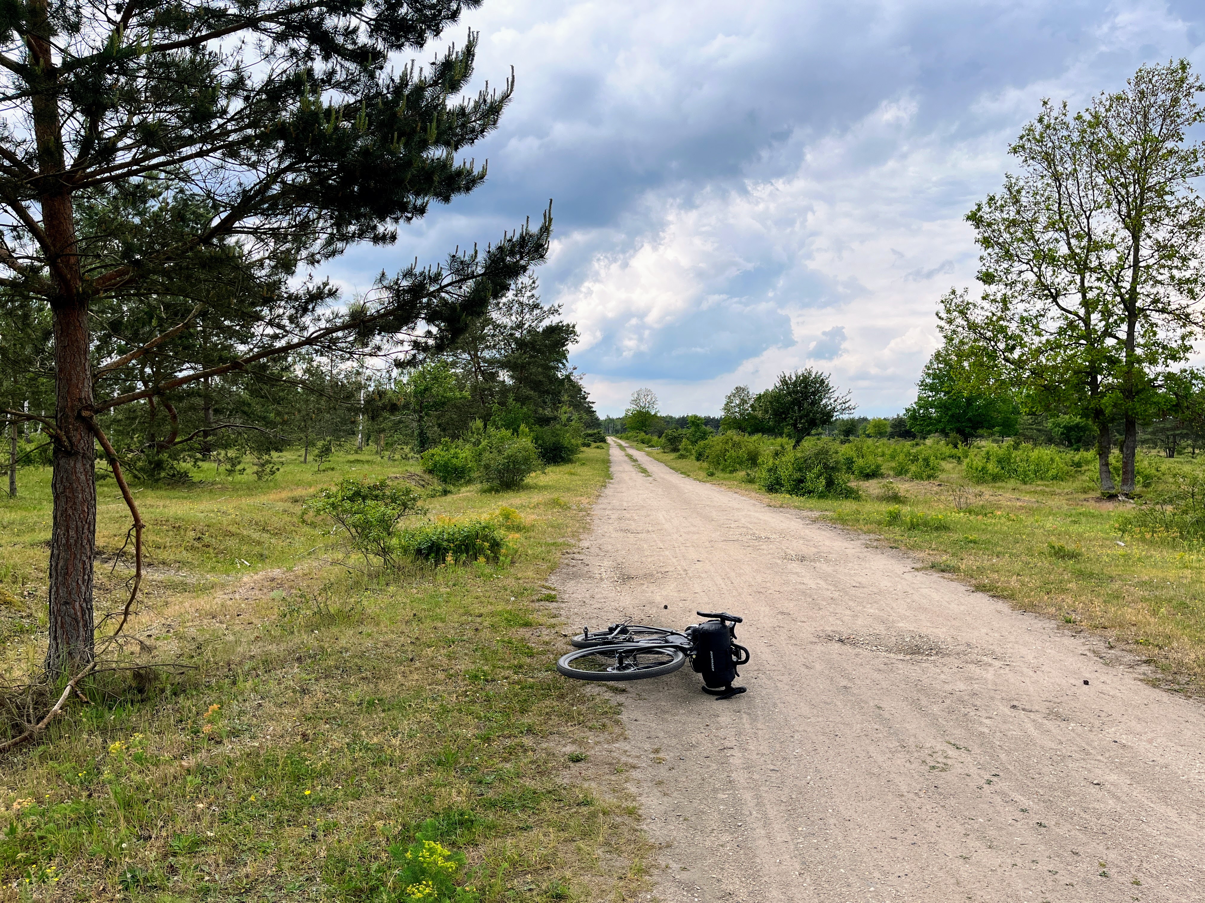 Von Leipzig auf einen Overnighter in den Hohen Fläming thumbnail