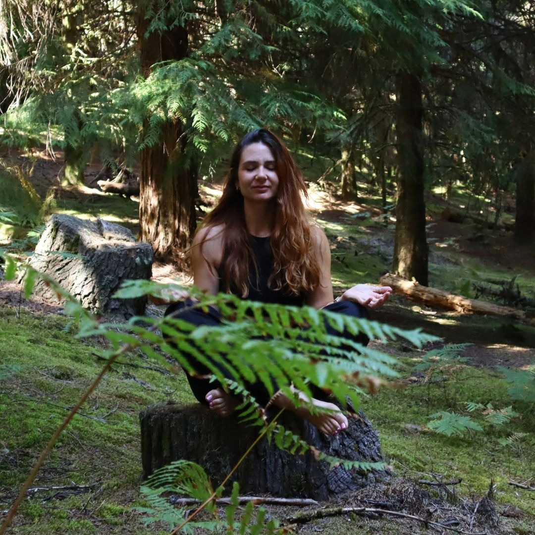 Free Guided Meditations thumbnail