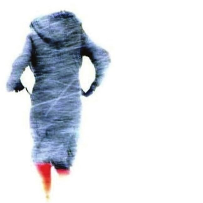 Ibbetson Street Press, Print Issue 48 | "Taking Its Course" (Pushcart nominated) thumbnail