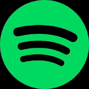Bei Spotify reinhören thumbnail