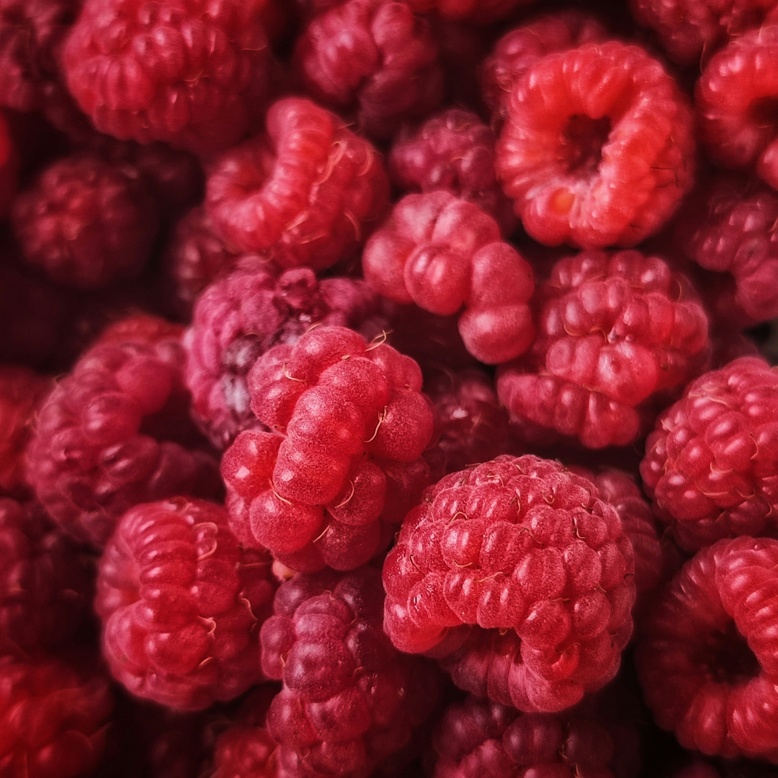 Take your FREE PCOS Detective Quiz today thumbnail