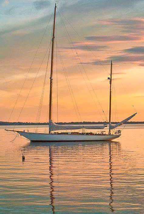 🌺 Restorations of classic yachts to preserve valuable cultural assets 🎓 thumbnail