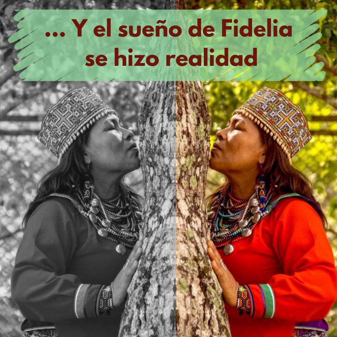 Artículo de Plantaforma sobre Fidelia/Article of Plantaforma about Fidelia thumbnail