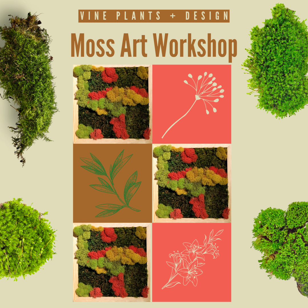 Moss Art Workshop - Thu 2/26 thumbnail