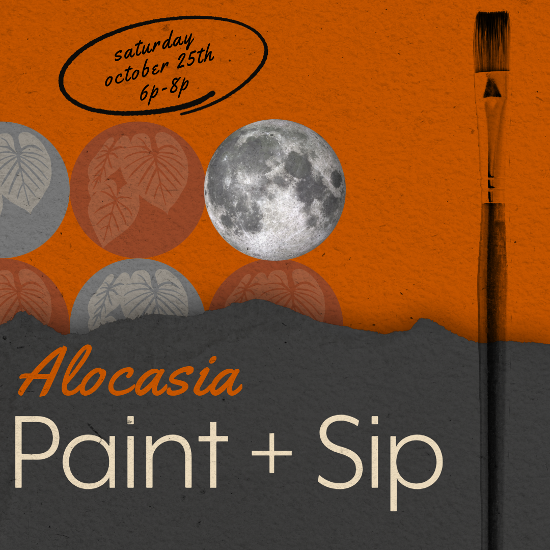 Alocasia Paint + Sip: Sat 10/25 thumbnail