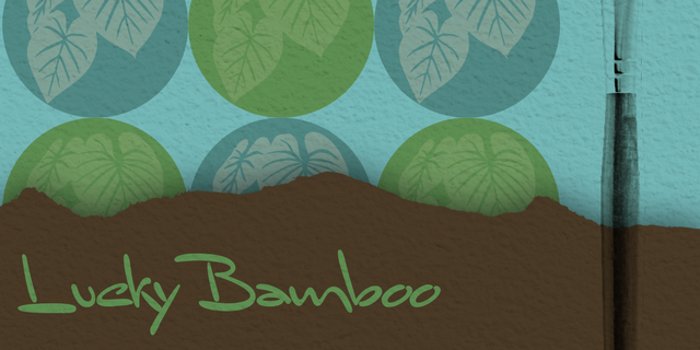 February Paint + Sip - Lucky Bamboo - Wed 2/4 thumbnail