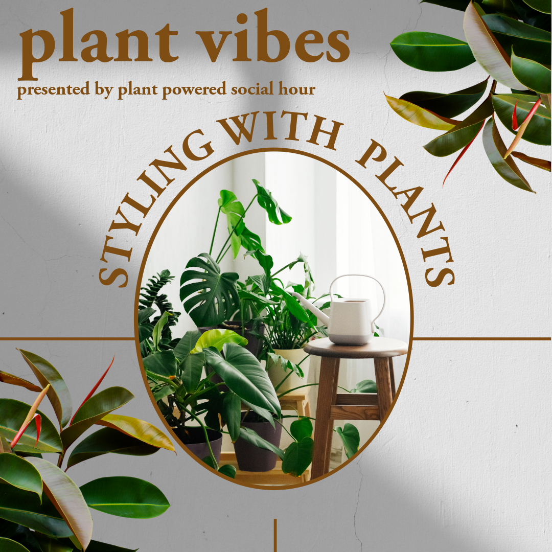 Plant Vibes: Styling w/ Plants Plant Powered Social Hour Tuesday, 6/24 thumbnail