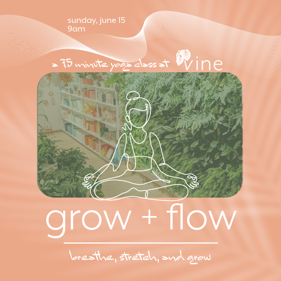 Grow + Flow -Yoga at Vine - Sunday 6/15 thumbnail