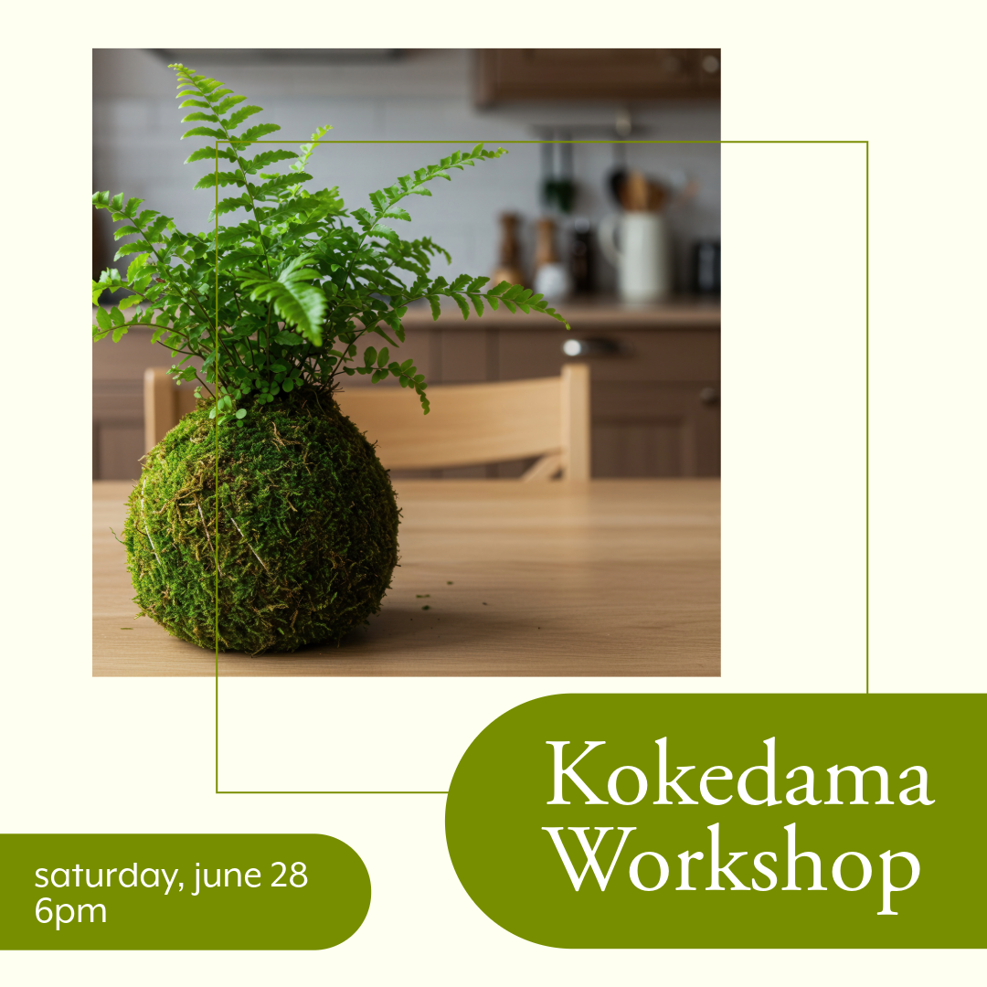 Kokedama Workshop - 6/28 thumbnail