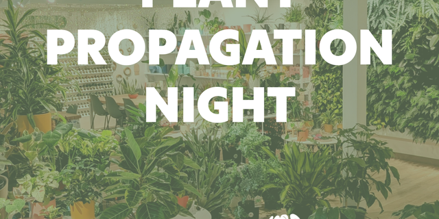 GGAI Plant Propagation Workshop: Thurs 11/20 thumbnail