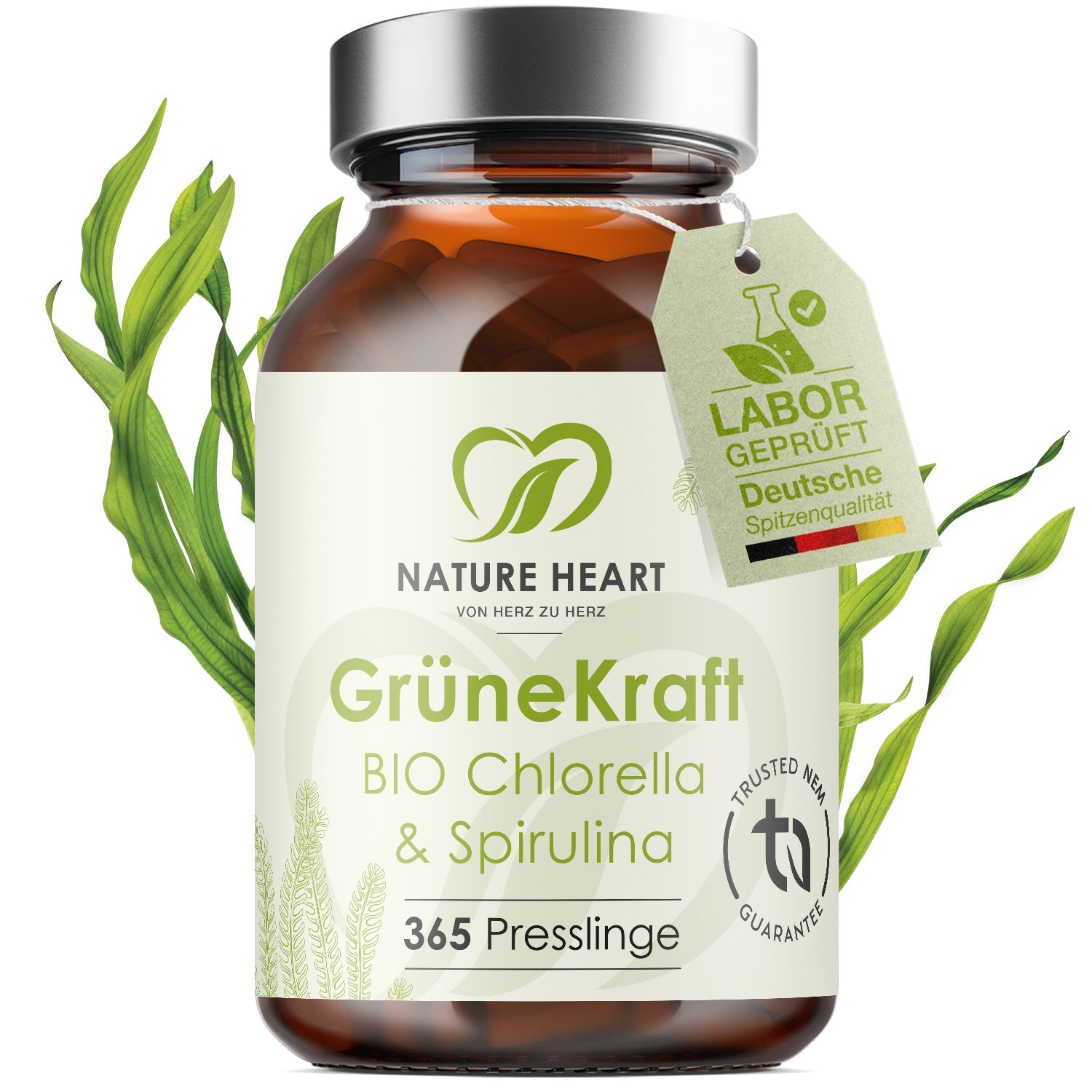 Grüne Kraft - Bio Chlorella & Spirulina thumbnail