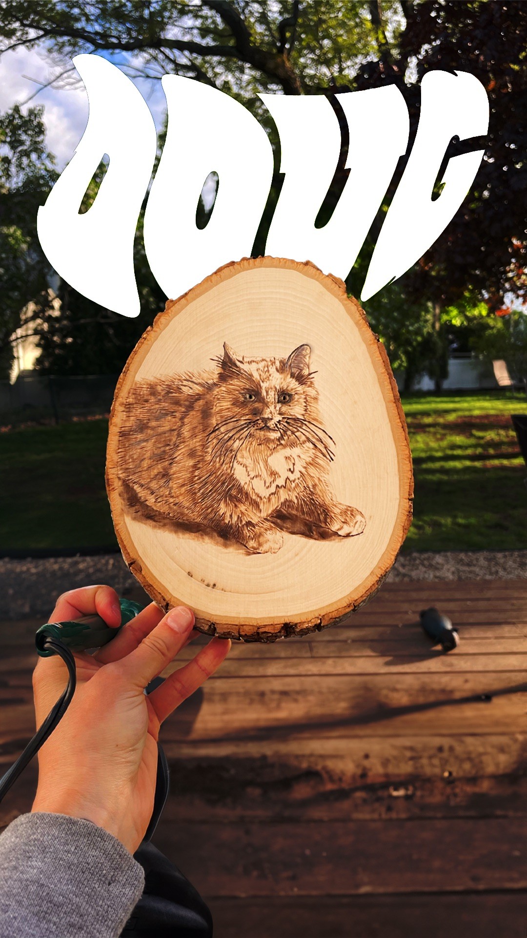 Here's one for @dougthefatboy 

#woodburn #cat #art
Audio: Big and Chunky - Will.I.Am