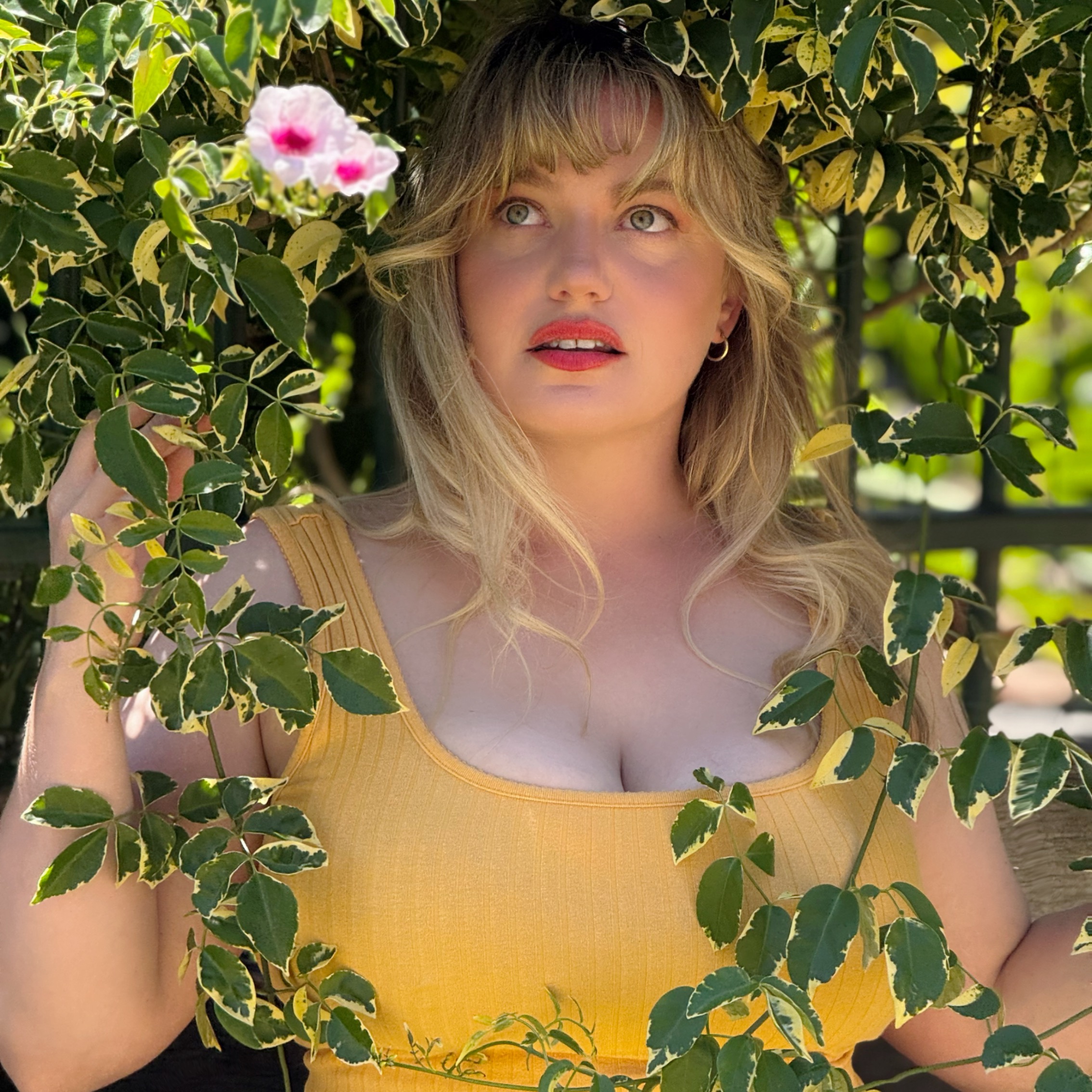 Ivy Societé thumbnail