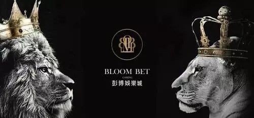 彭博娛樂城 thumbnail