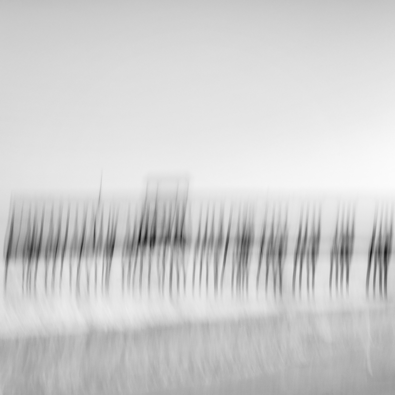 newsletter thumbnail