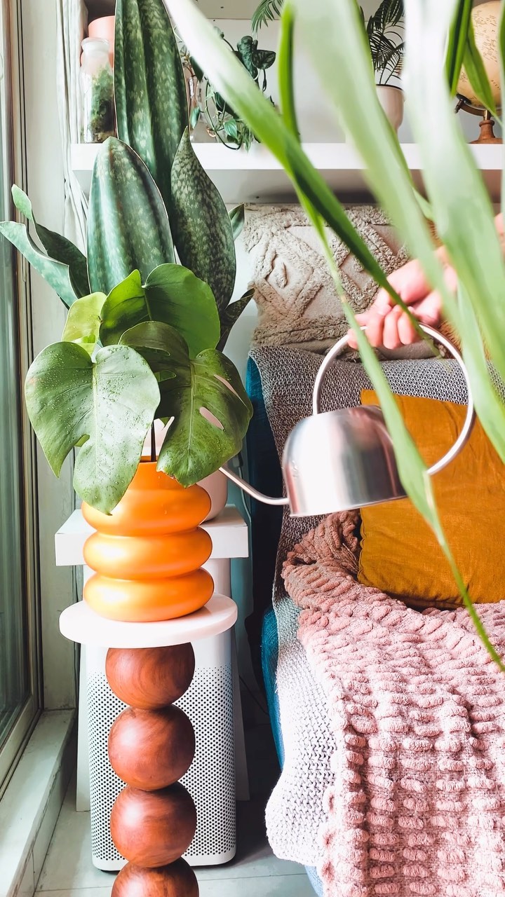 Adding a fresh beautiful plant cutting and a touch of this colourful vase in my living room corner 😍😊 btw don’t forget t