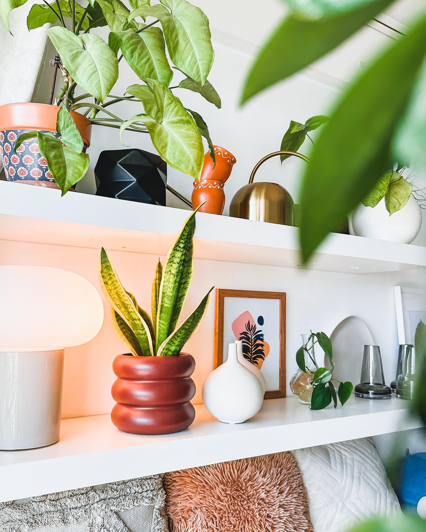 Ok after a overwhelming plant decoration I’m trying to decor my living room wall shelf with some beautiful decor pieces 