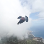 A Trip To The South  thumbnail