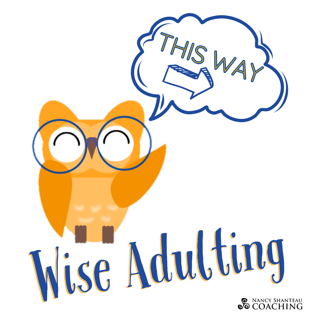 Wise Adulting thumbnail