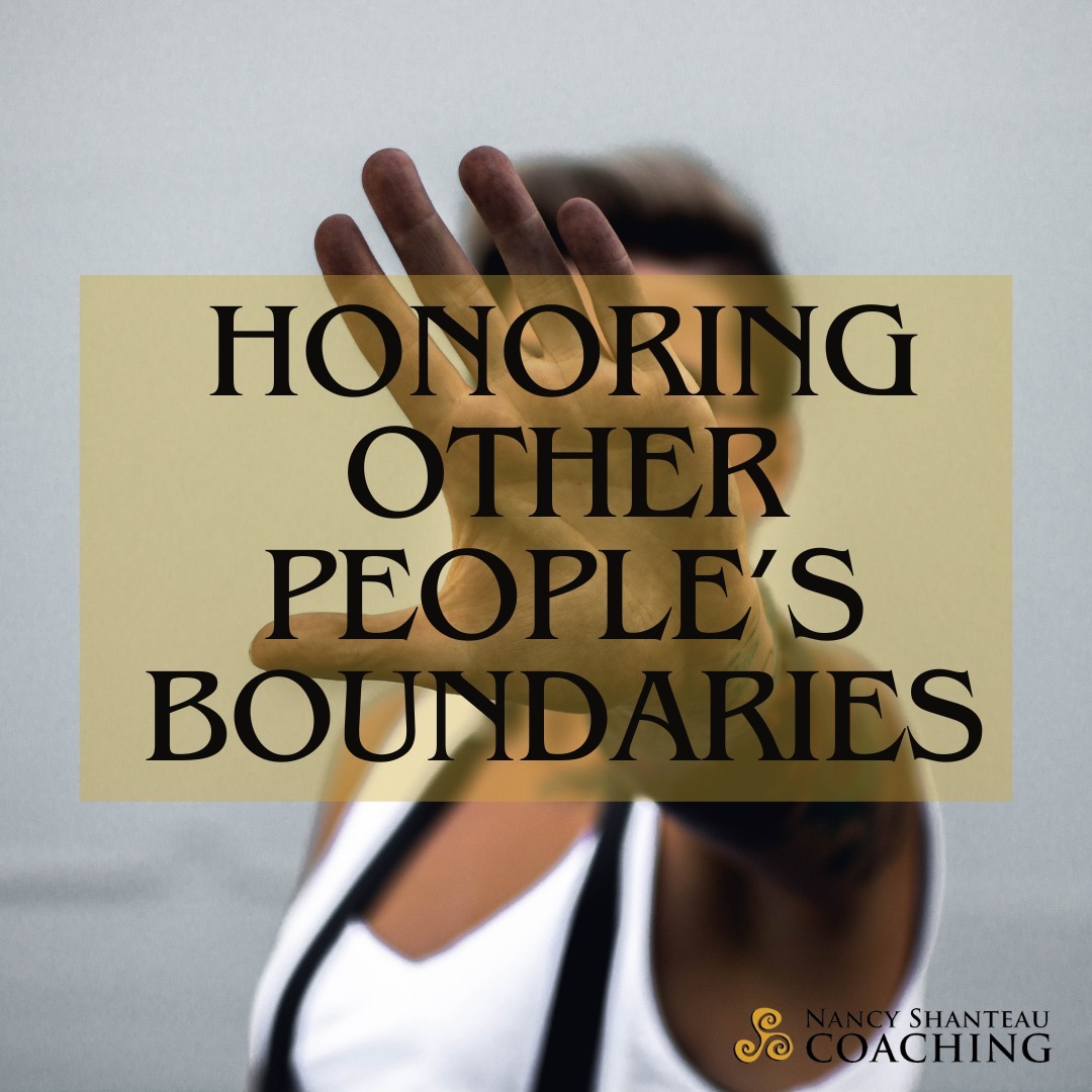 New Skills for Changemakers Patreon post!

"...boundaries are hard to enact for ourselves in part because people often r