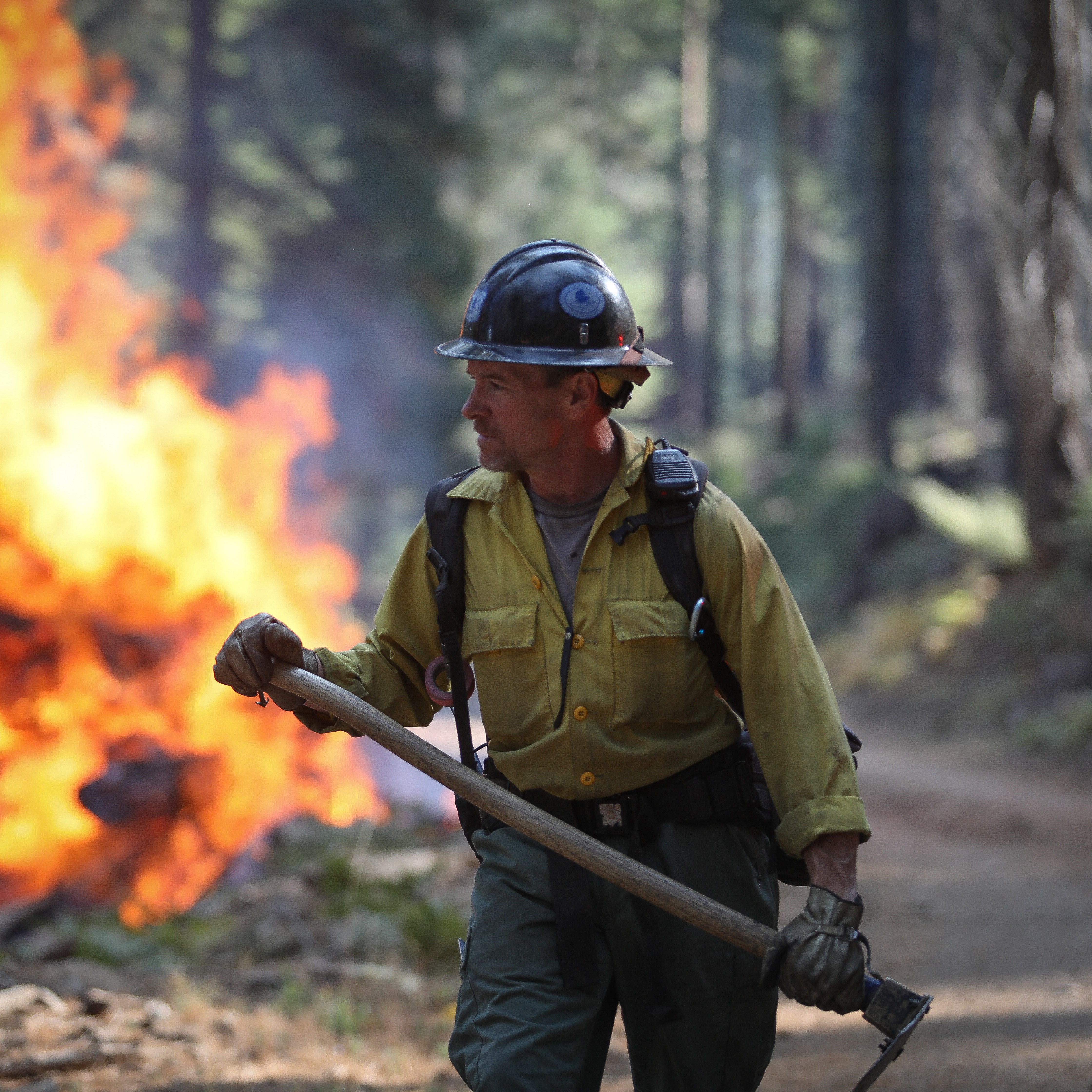 Ready for wildfire thumbnail