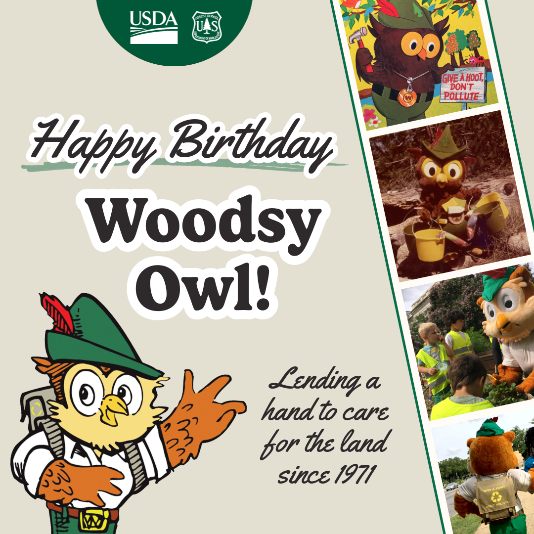 Happy Birthday, Woodsy Owl! | US Forest Service thumbnail