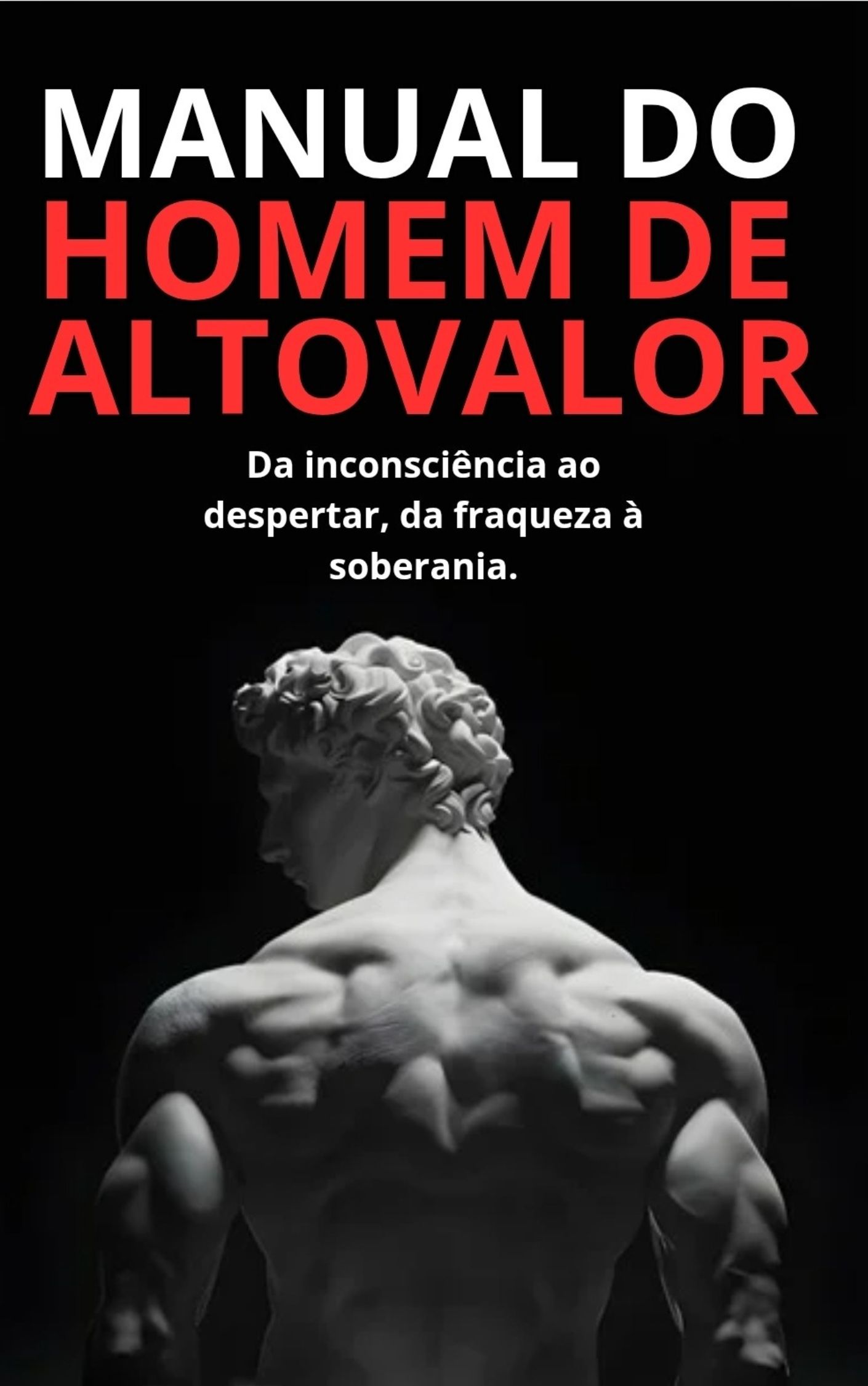 MANUAL DO HOMEM DE ALTO VALOR thumbnail