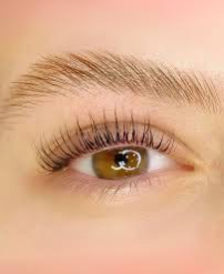 Brow Lamination & Lash Lifting thumbnail
