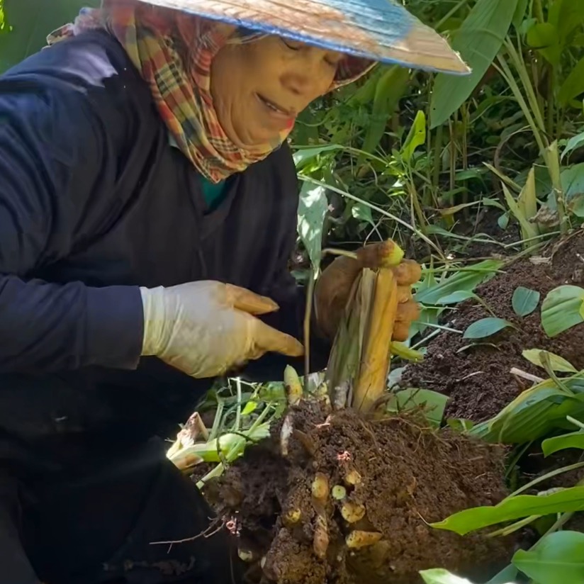 Our Origin Story thumbnail