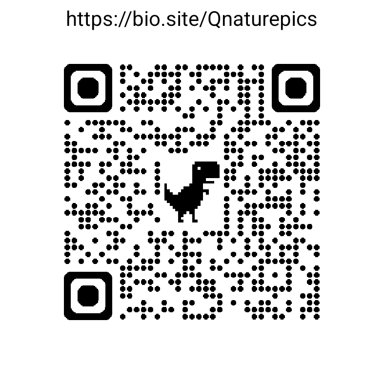 Mailing List
