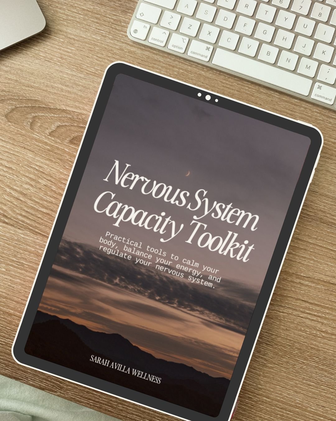 Nervous System Capacity Toolkit thumbnail