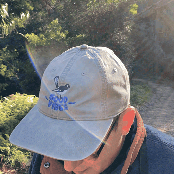 Shop Merch thumbnail