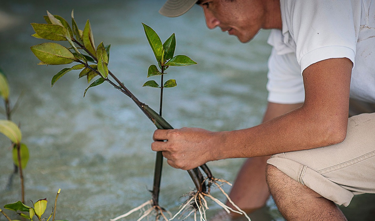 Donate to our Foundation thumbnail