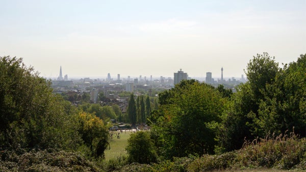 29th March: Hampstead Heath: 1 Year Anniversary Walk thumbnail