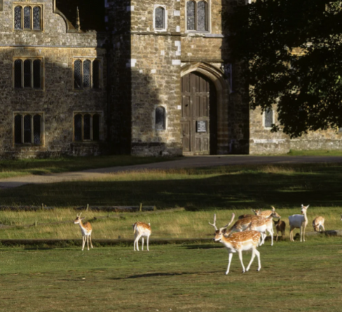 3rd May: Spring 20km hike Knole Deer Park in Kent thumbnail
